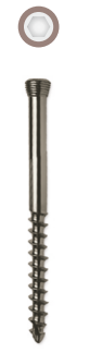 Locking Head Screw