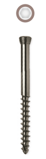 Locking Head Cannulated Cancellous Screw