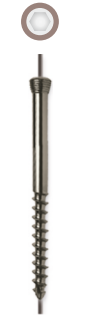 Locking Head Cannulated Cancellous Screw