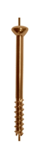 Small Cannulated Screw