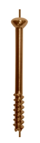 Small Cannulated Screw