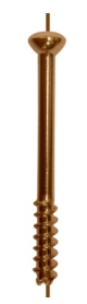 Cannulated Screw