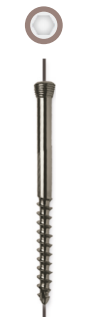 Locking Head Cannulated Screw