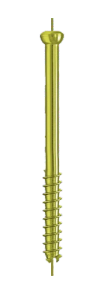 Cannulated Cancellous Screw