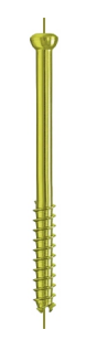 Large Cannulated Cancellous Screw 32mm