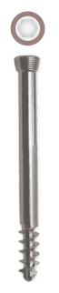 Locking Head Screw