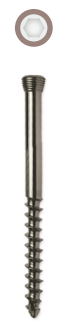 Locking Head Screw