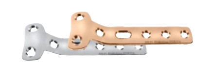 Mini Straight Plate