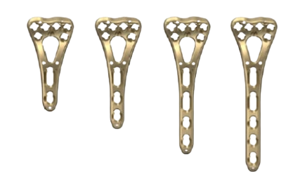 Clavicle Hook