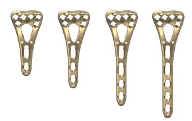 Clavicle Hook