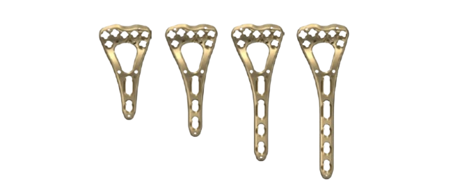 Clavicle Hook