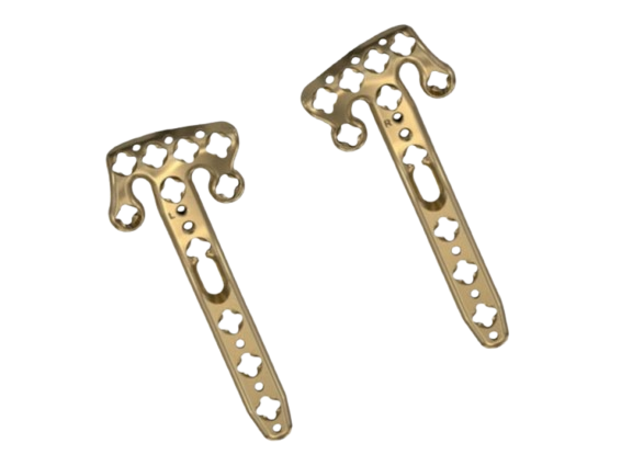 Clavicle Hook